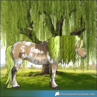 Horse Color:Painted White Spotted Buckskin Dun  and Watercolor White Spotted Silver Grullo Brindle 