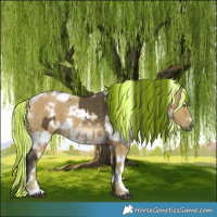 Horse Color:Painted White Spotted Buckskin Dun  and Watercolor White Spotted Silver Grullo Brindle 