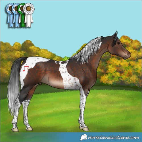 Horse Color:Brown Tobiano 