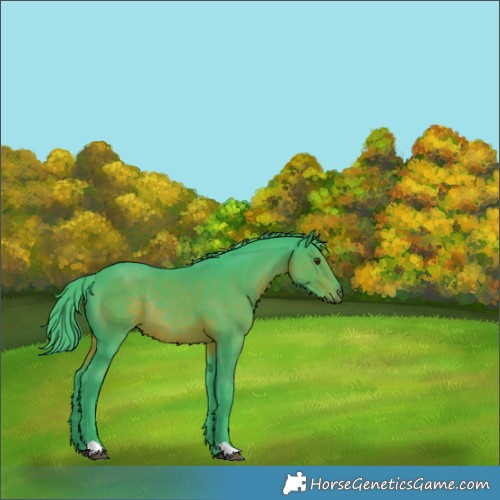 Horse Color:Watercolor Liver Chestnut Rabicano 