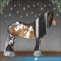 Horse Color:White Spotted Buckskin 