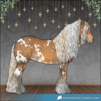 Horse Color:White Spotted Chocolate Palomino 
