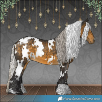 Horse Color:White Spotted Silver Buckskin 