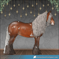 Horse Color:White Spotted Silver Bay 