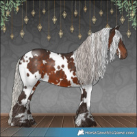 Horse Color:White Spotted Silver Brown 