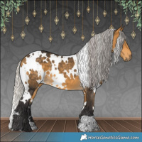 Horse Color:White Spotted Silver Buckskin 