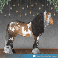Horse Color:White Spotted Buckskin