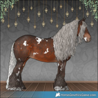 Horse Color:White Spotted Silver Brown 