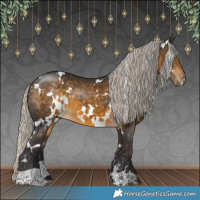 Horse Color:White Spotted Silver Buckskin 
