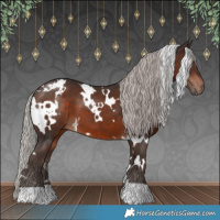 Horse Color:White Spotted Silver Brown 