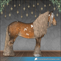 Horse Color:White Spotted Chocolate Palomino 