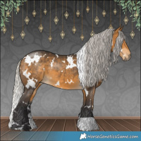 Horse Color:White Spotted Silver Buckskin