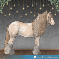 Horse Color:White Spotted Perlino 