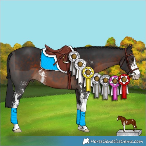 Horse Color:Brown Sabino 