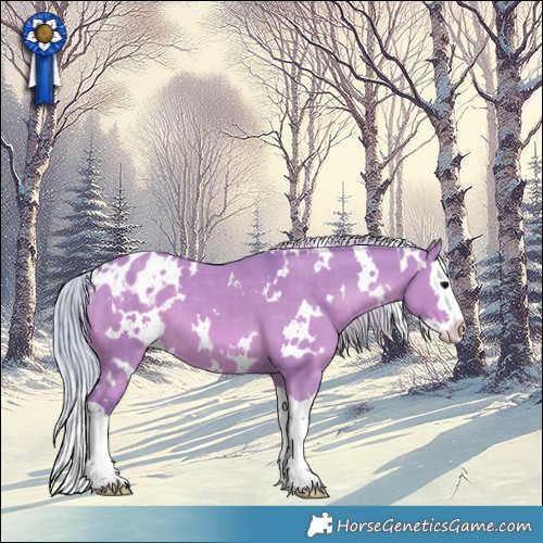 Horse Color:Watercolor White Spotted Silver Grullo Splash Appaloosa 