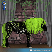 Horse Color:Void Watercolor Liver Red Dun Sabino Near Leopard Brindle 
