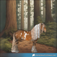 Horse Color:White Spotted Chocolate Palomino 