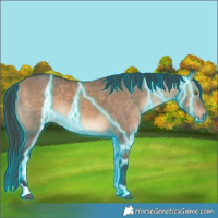 Horse Color:Thunderstruck Bay Dun 