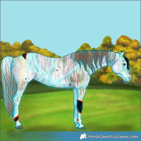 Horse Color:Thunderstruck White Spotted Chestnut Ice Tobiano