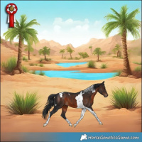 Horse Color:Brown Tobiano 