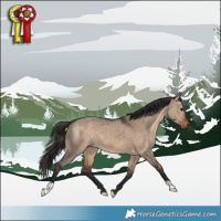 Horse Color:Bay Dun