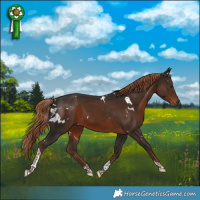 Horse Color:White Spotted Liver Chestnut Tobiano 