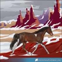 Horse Color:Liver Chestnut Tobiano 