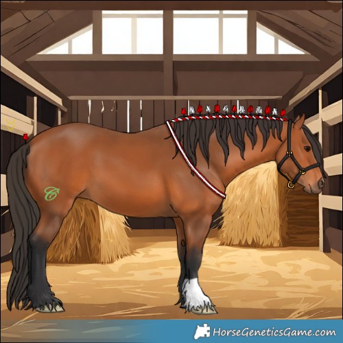 Horse Color:Bay 