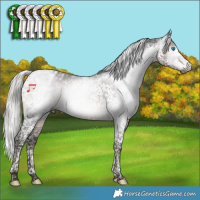 Horse Color:Gray Silver Brown Splash Tobiano Varnish 