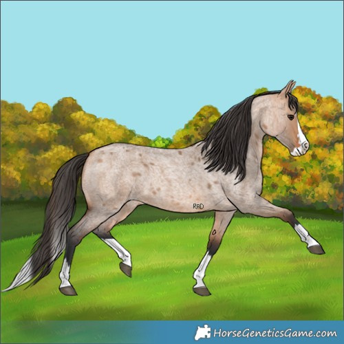 Horse Color:Bay Roan Dun Splash 