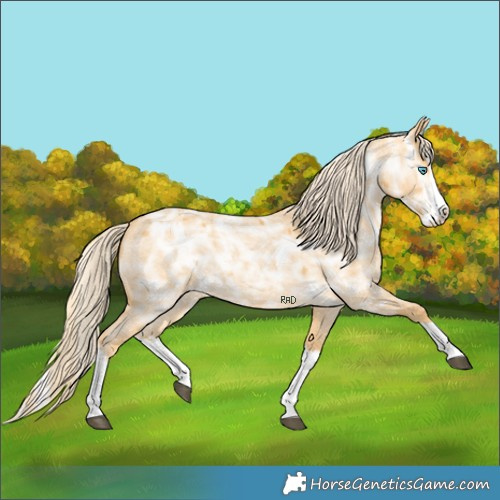 Horse Color:Palomino Ice Roan Splash Rabicano 