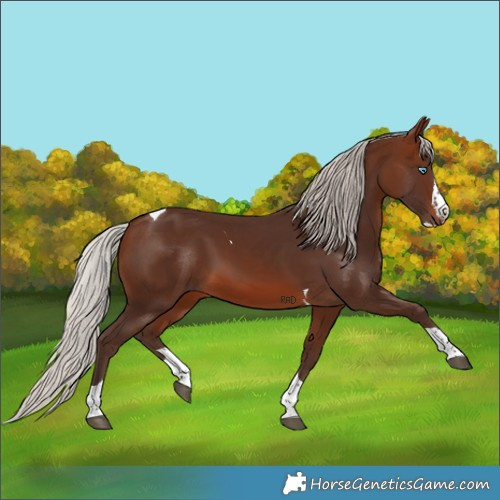 Horse Color:Silver Brown Splash Tobiano 