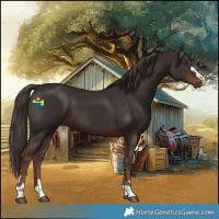 Horse Color:Liver Chestnut