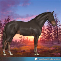 Horse Color:Liver Chestnut 