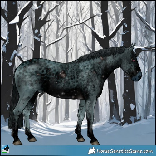 Horse Color:ERROR: UNKNOWN ANOMALY