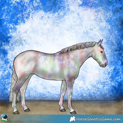 Horse Color:Nacre Chocolate Silver Brown Chinchilla Onyx