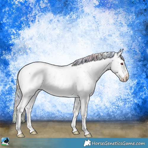 Horse Color:Nacre Chocolate Silver Smoky Black Chinchilla Ice Sabino Rabicano 