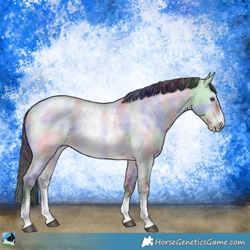 Horse Color:Nacre Brown Chinchilla Dun Sabino Rabicano