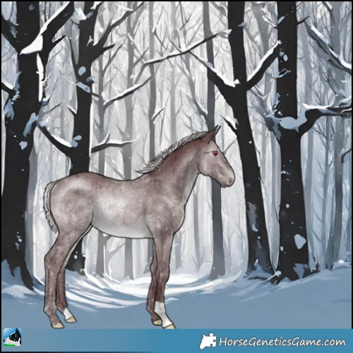 Horse Color:Chocolate Silver Brown Chinchilla Rabicano 