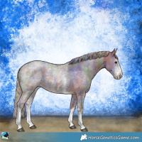 Horse Color:Nacre Silver Black Ice Sabino 