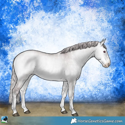 Horse Color:Chocolate Silver Buckskin Chinchilla Ice Onyx Sabino