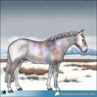 Horse Color:Nacre Chocolate Silver Brown Chinchilla Onyx Sabino