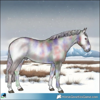 Horse Color:Nacre Chocolate Silver Brown Chinchilla Onyx Sabino 