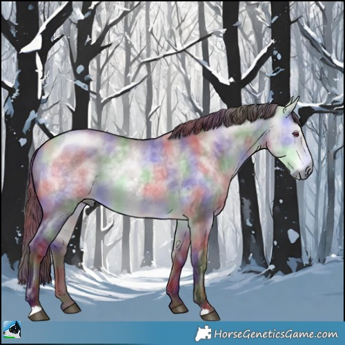 Horse Color:Nacre Chocolate Buckskin Chinchilla Dun Rabicano 