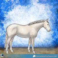 Horse Color:Cremello Dun Sabino 