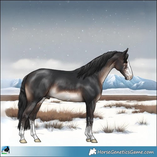 Horse Color:Brown Mushroom Sabino 