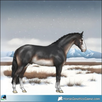 Horse Color:Brown Mushroom Sabino