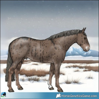 Horse Color:Liver Red Dun Mushroom Sabino Brindle 