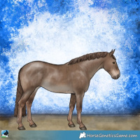 Horse Color:Liver Red Dun Rabicano Brindle