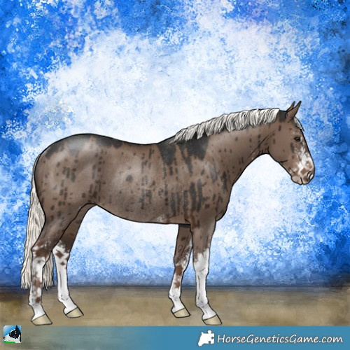 Horse Color:Liver Red Dun Mushroom Sabino Rabicano Brindle